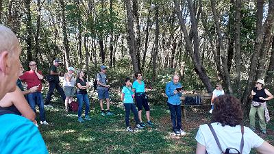 Voci nel Bosco (7)